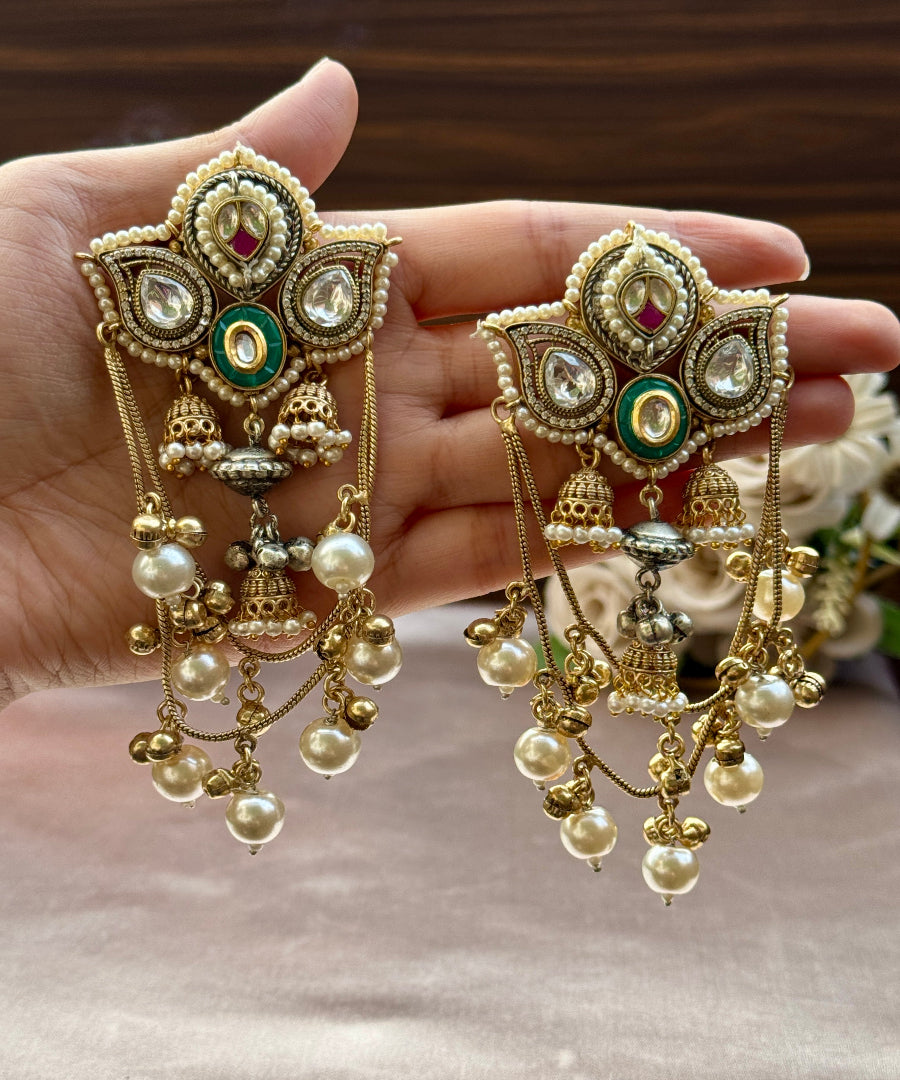 Meherbaani 1.0