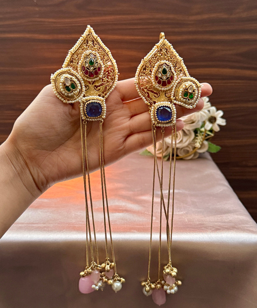 Rajnandini 1.0