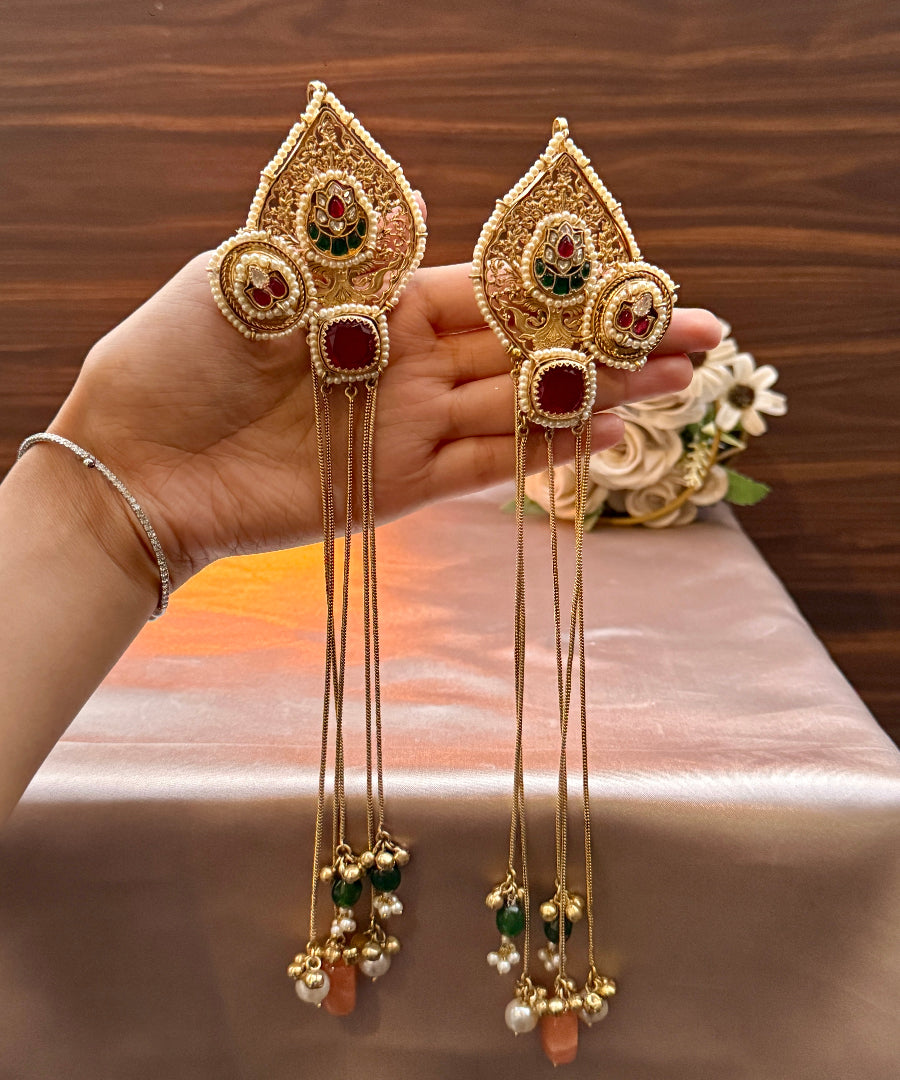 Rajnandini 4.0