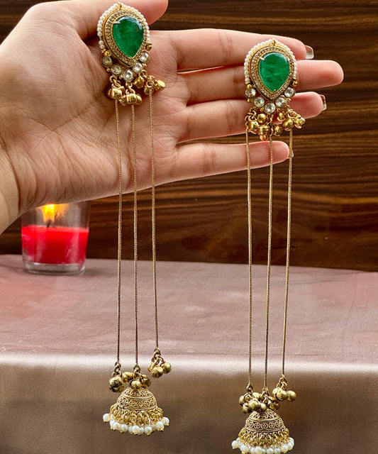 Khwahish-e-Chandni