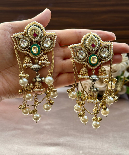 Meherbaani 1.0