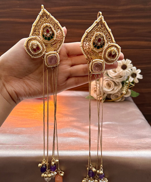 Rajnandini 2.0