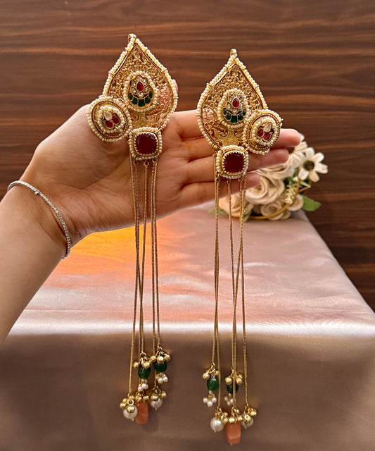 Rajnandini 4.0