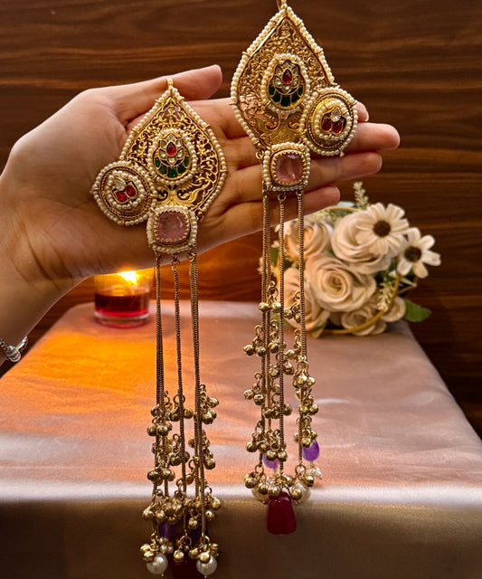 Rajnandini 5.0