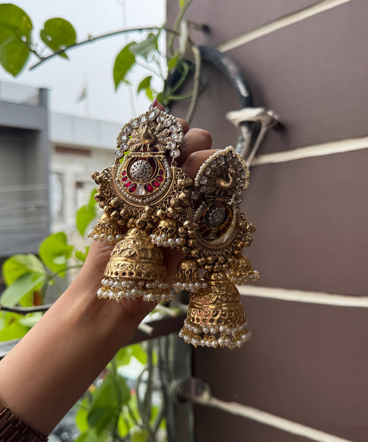 Rang-e-Hina 1.0